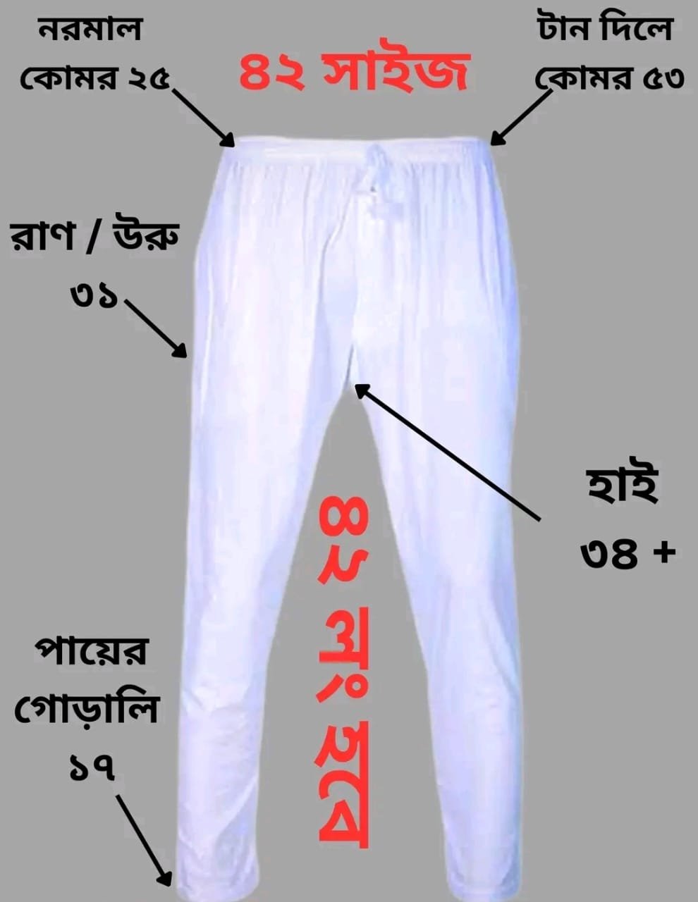 WhatsApp Image 2026-03-02 at 10.57.09 PM